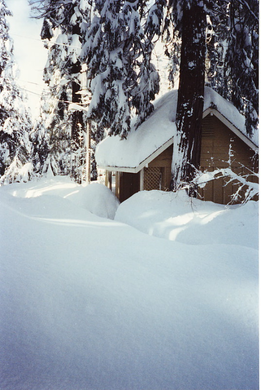Cabin-snow