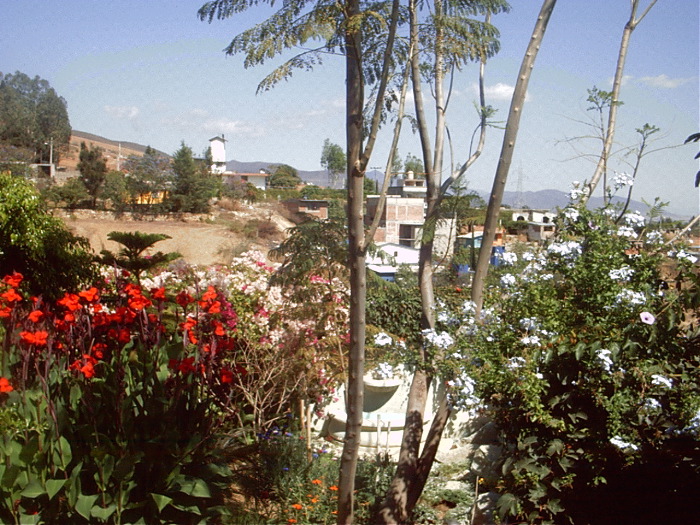 GardenF