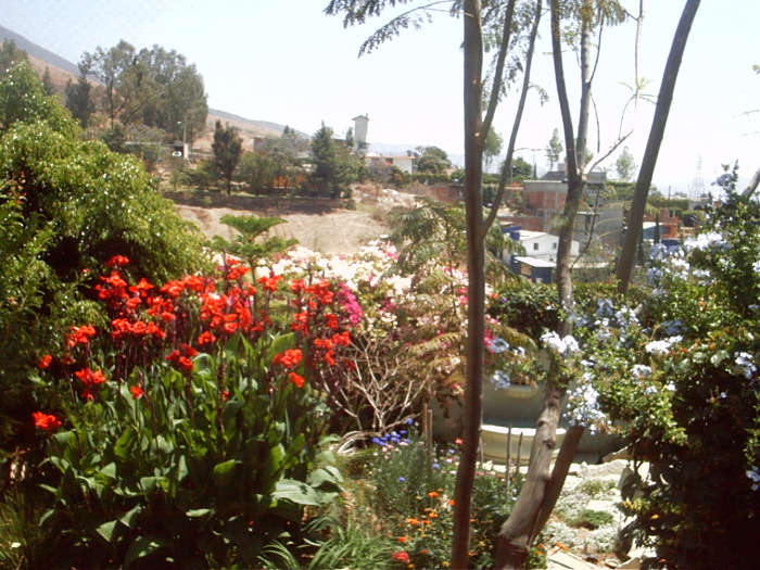 GardenF