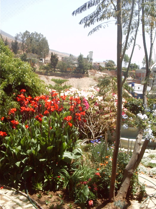 GardenF