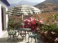 GardenT.003