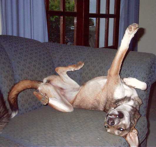 Leg Stretch
