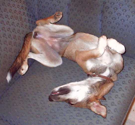 tiring work, all these exercises