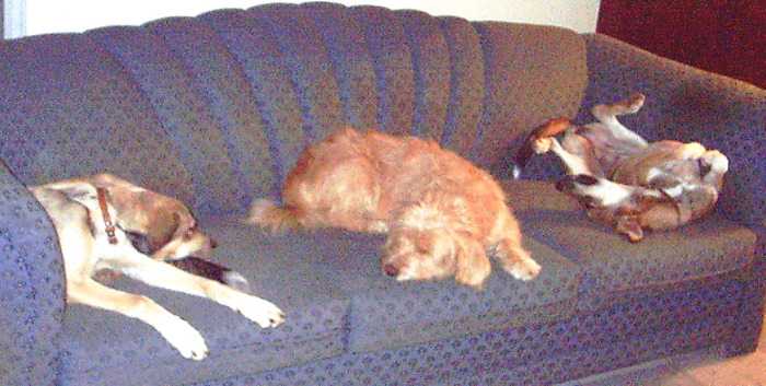 share the sofa
