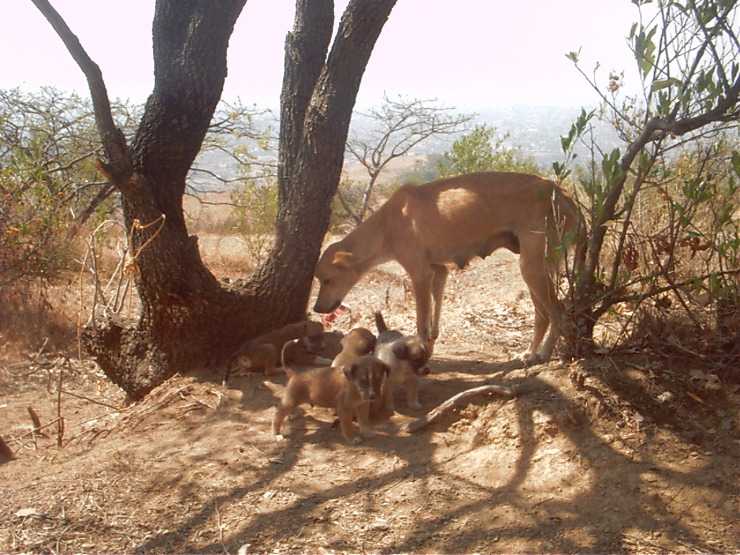IMGP0024