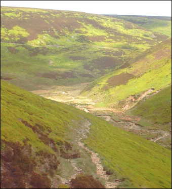 Lower Fiendsdale