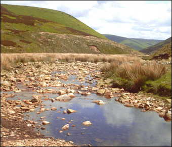 Langden Brook
