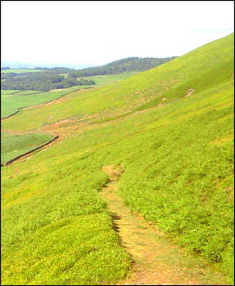 Lower Grassy Road to Fiendsdale Head looking back towards Hazlehurst