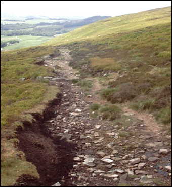 Higher Rough Road to Fiendsdale Head looking back towards Hazlehurst