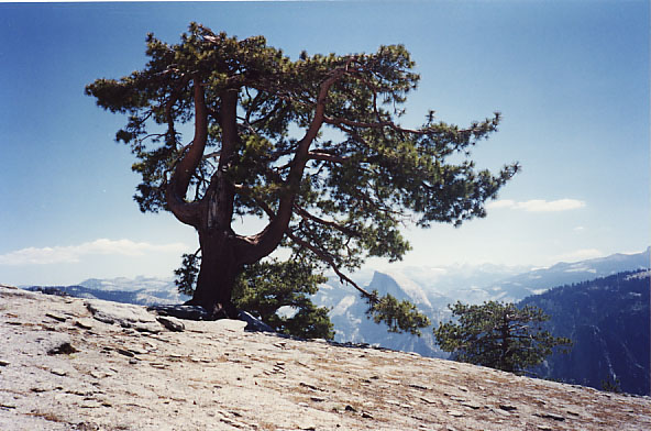 YosemiteF