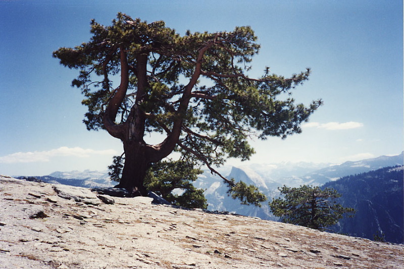 YosemiteF