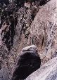 YosemiteT.003