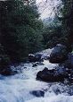 YosemiteT.022