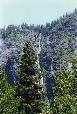 YosemiteT.023