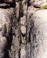YosemiteT.028