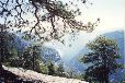 YosemiteT.055